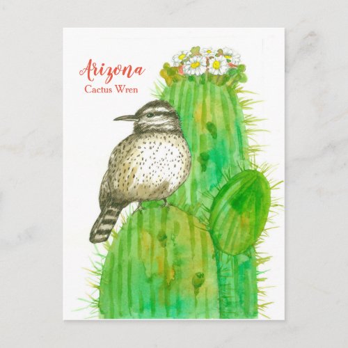 Arizona State Bird Cactus Wren White Blossoms Postcard