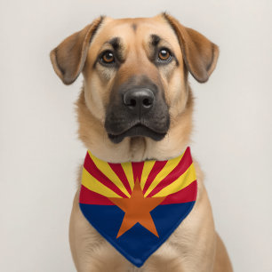 Arizona State Flag Pet Bandana Collar