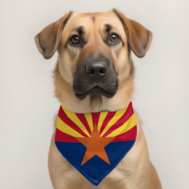 Arizona State Flag Pet Bandana Collar (Dog 2)