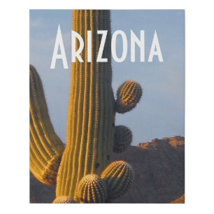 Arizona Sunlit Saguaro Faux Canvas Print