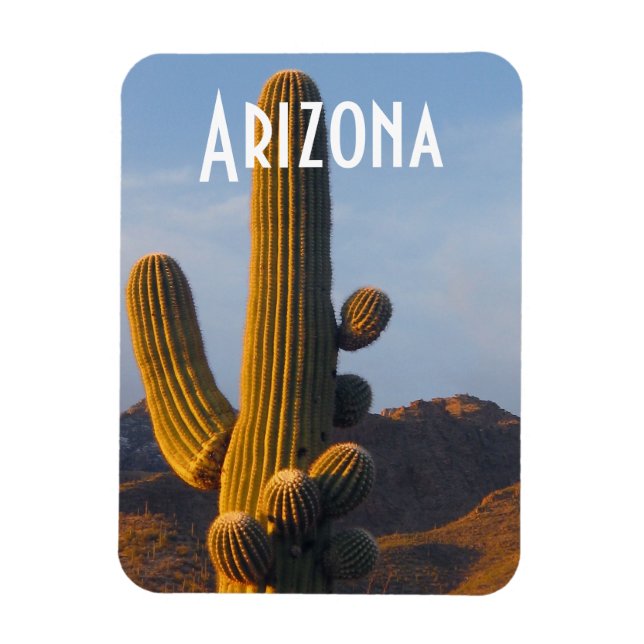 Arizona Sunlit Saguaro Magnet (Vertical)