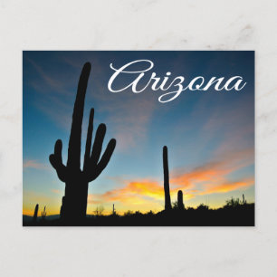 Arizona Sunrise Cactus & Desert Travel Postcard