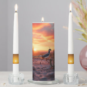 Arizona Sunrise Roadrunner Candle Set