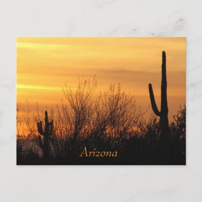 Arizona Sunset-3 Postcard (Front)