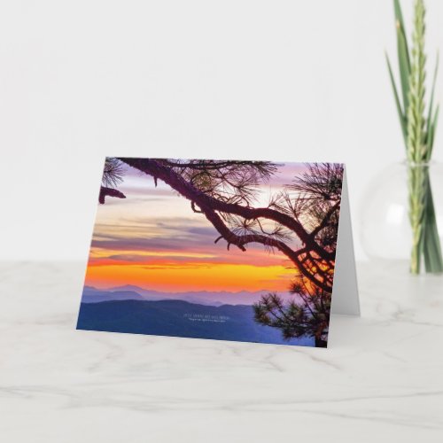 Arizona Sunset Pine Tree Branch Mountain View Card