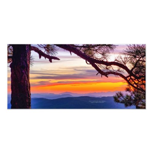 Arizona Sunset Pine Tree Mountains Scenic View Photo Print