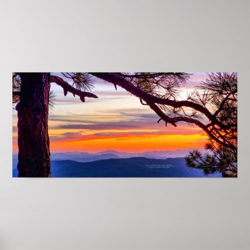 Arizona Sunset Pine Tree Mountains Scenic View Poster