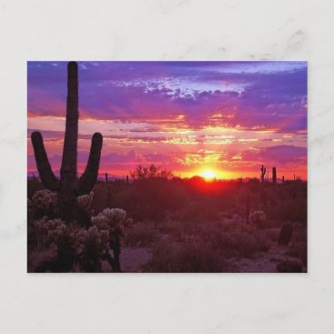 arizona sunset postcard