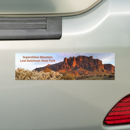 Arizona Superstition Mountain Cholla Cactus Bumper Sticker