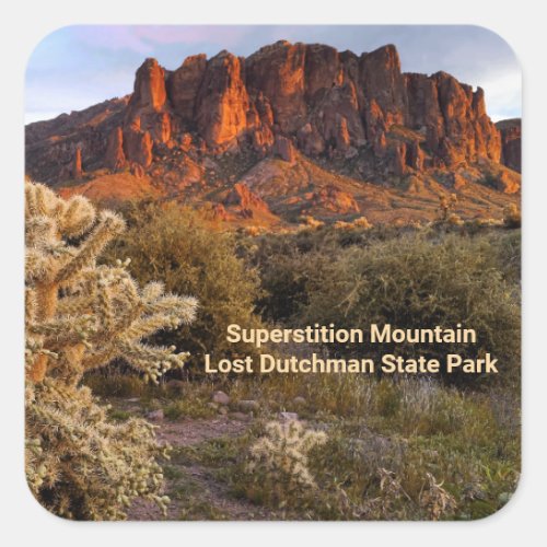 Arizona Superstition Mountain Cholla Cactus Square Sticker