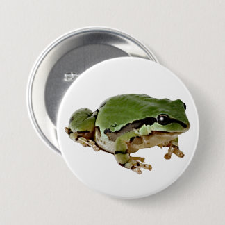 Arizona Tree Frog Close-Up Photograph Pinback Button