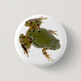 Arizona Tree Frog Photograph Button