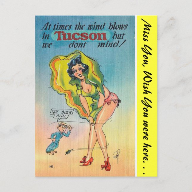 Arizona, Tucson Postcard (Front)