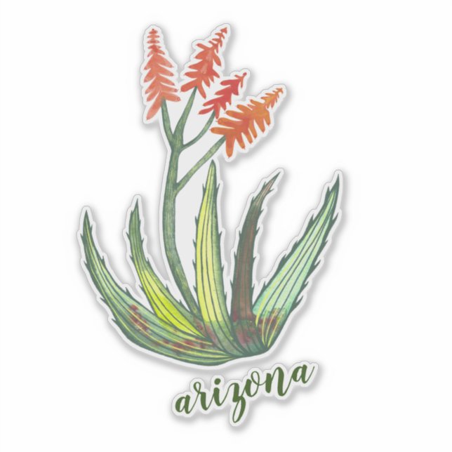 ARIZONA Watercolor Aloe Vera Succulent FLowers Sticker (Front)