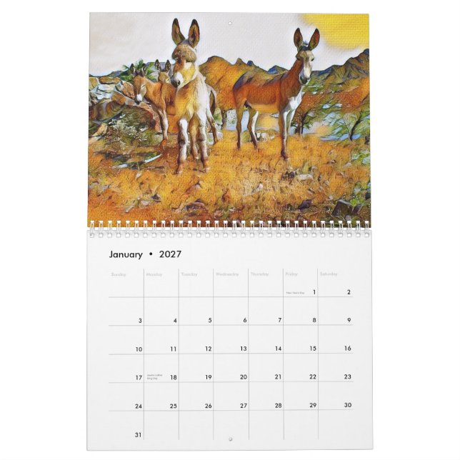 Arizona Wild Burro 2022 Calendar (Jan 2027)