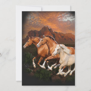 Arizona Wild horses Holiday Card