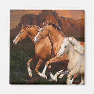 Arizona Wild horses Magnet