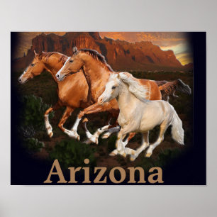 Arizona Wild Horses Poster