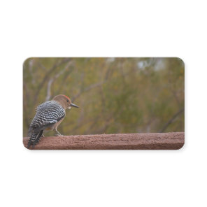 Arizona Woodpecker Business Cards