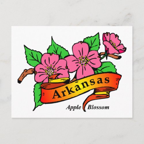 Arkansas Apple Blossom Postcard