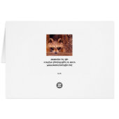 Arkansas Bandit (Back Horizontal)