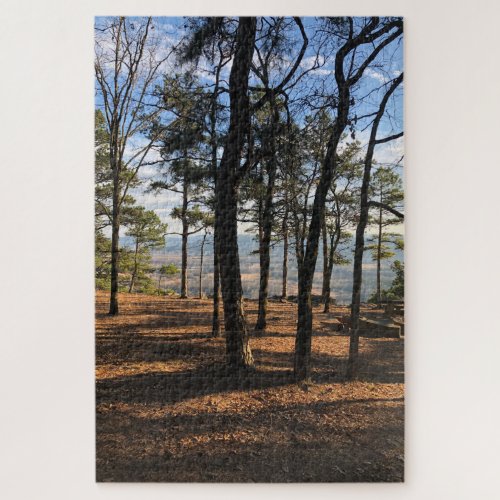 Arkansas Forest Jigsaw Puzzle