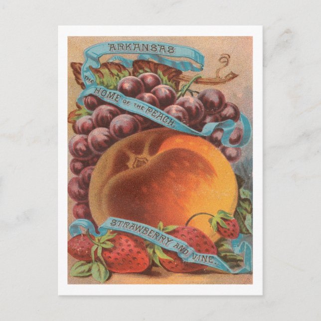 Arkansas fruit vintage advertising postcard (Front)