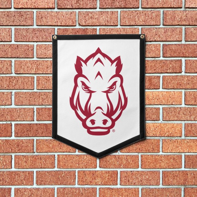 Arkansas Razorbacks Mascot Logo 3 Pennant (Insitu 1)