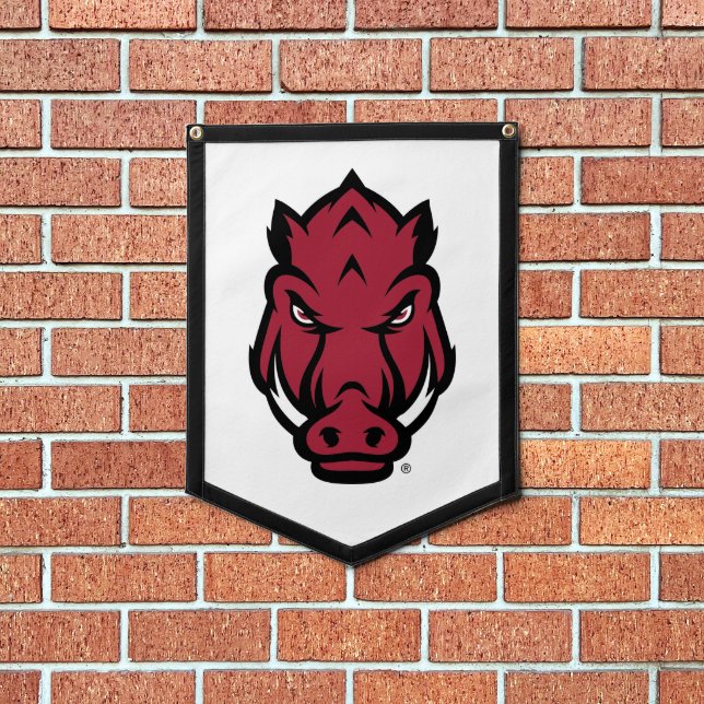 Arkansas Razorbacks Mascot Logo Pennant (Insitu 1)