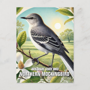 Arkansas State Bird Northern Mockingbird Postcard