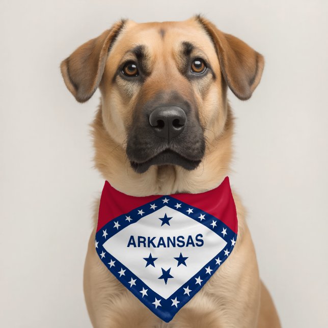 Arkansas State Flag Pet Bandana Collar (Dog 2)