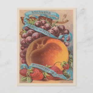 Arkansas Vintage Peach Strawberry Grapes Postcard
