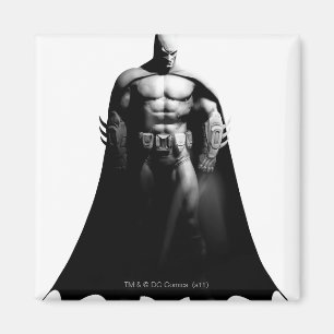 Arkham City Batman Black and White Wide Pose Magnet