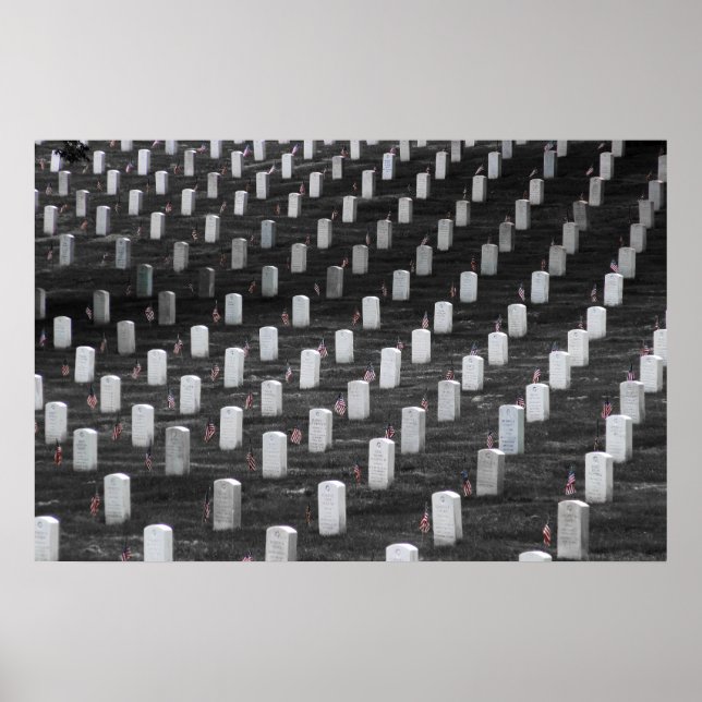 Arlington B&W Color Flags Poster (Front)