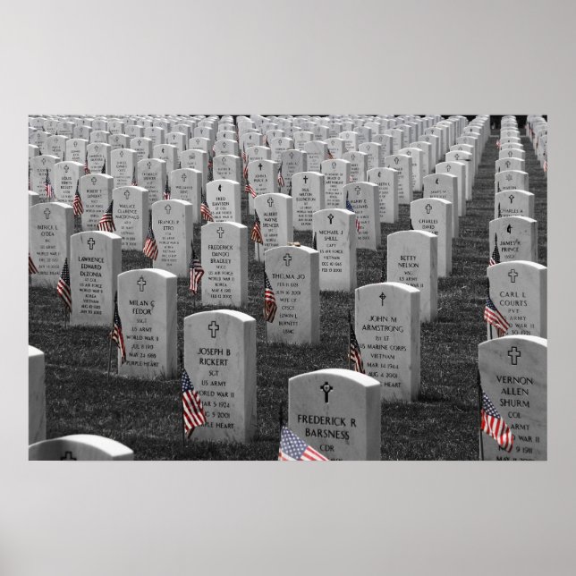 Arlington B&W Flags Color Poster (Front)