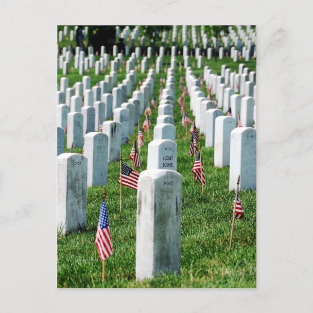 Arlington Cemetery Postcard (Front)