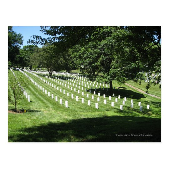 Arlington Cemetery Postcard