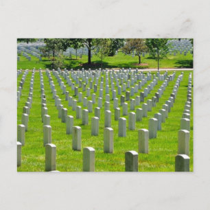 Arlington National Cemetery Headstones Washington  Postcard
