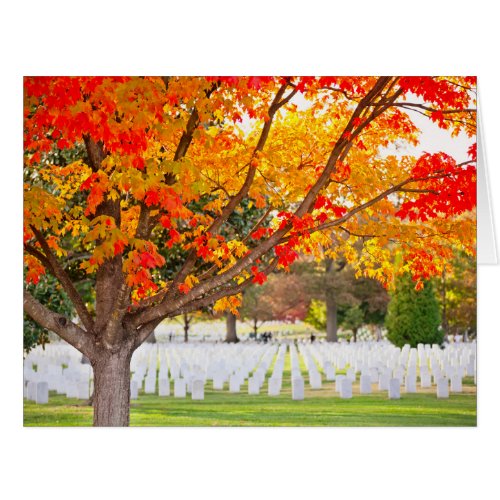 Arlington National Cemetery in Autumn