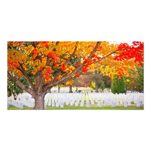 Arlington National Cemetery in Autumn Card