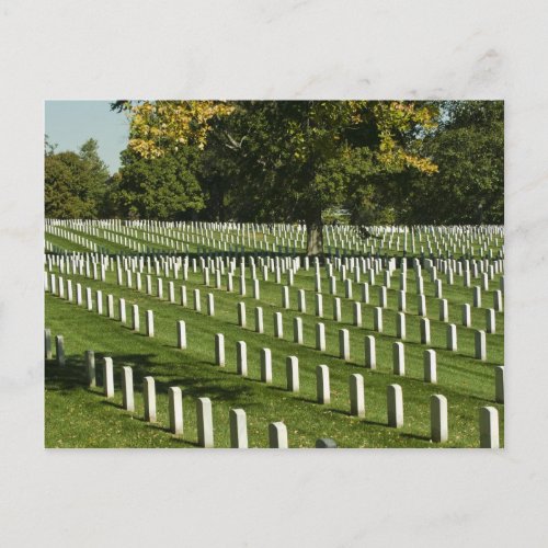 Arlington National Cemetery Postcard