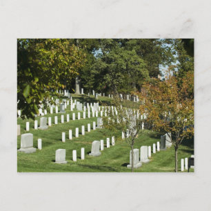 Arlington National Cemetery Postcard