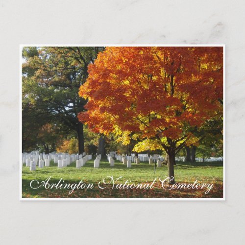 Arlington National Cemetery Postcard