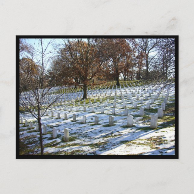 arlington snow postcard (Front)