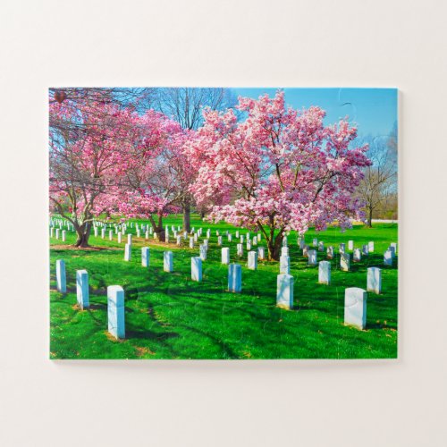 Arlington Virginia Jigsaw Puzzle