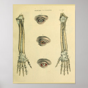 Arm Hand Bones Eyes Anatomy Art Print