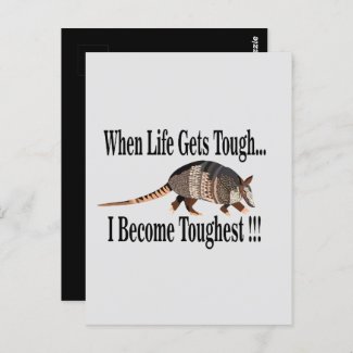 Armadillo Animal Inspirational