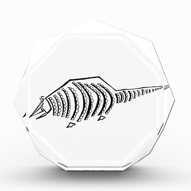 Armadillo Award (Front)