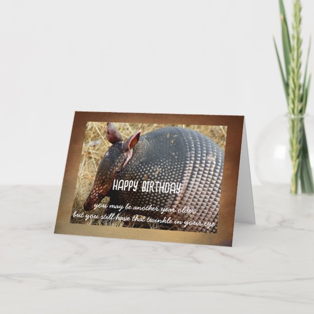 armadillo birthday card humor photo art  (Front)
