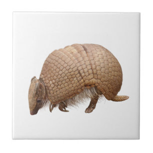 Armadillo Ceramic Tile